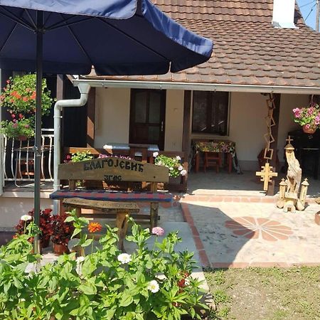 Skriveni Raj Apartamento Vrdnik Quarto foto