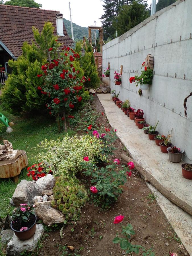 Skriveni Raj Apartamento Vrdnik Exterior foto