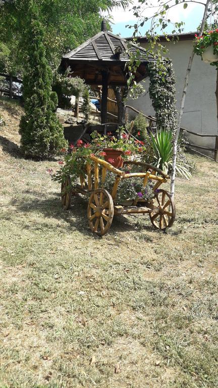 Skriveni Raj Apartamento Vrdnik Quarto foto