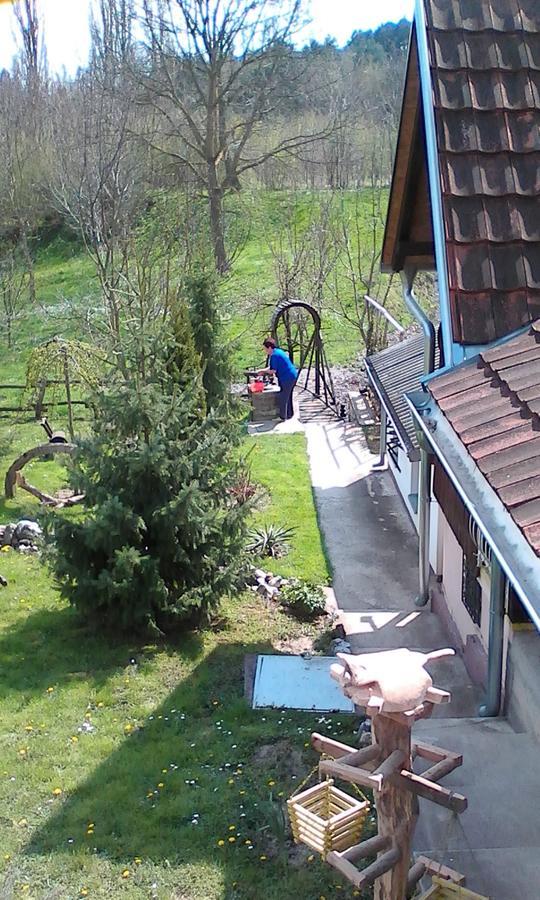 Skriveni Raj Apartamento Vrdnik Exterior foto