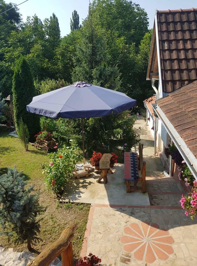 Skriveni Raj Apartamento Vrdnik Exterior foto