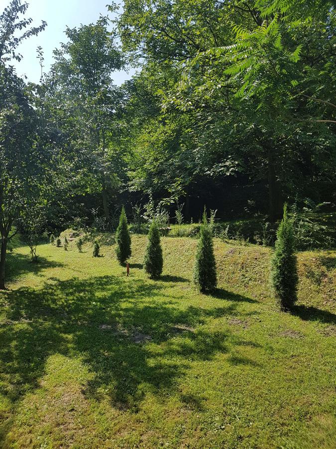 Skriveni Raj Apartamento Vrdnik Exterior foto