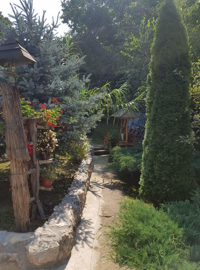 Skriveni Raj Apartamento Vrdnik Quarto foto