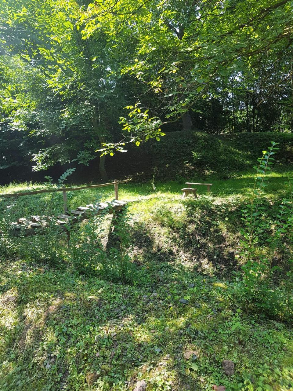 Skriveni Raj Apartamento Vrdnik Quarto foto