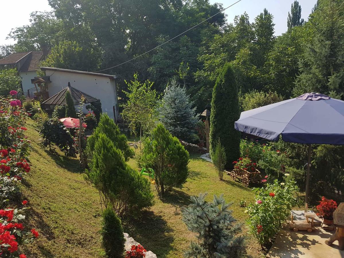 Skriveni Raj Apartamento Vrdnik Quarto foto
