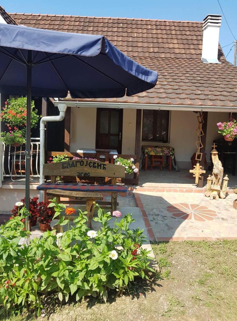 Skriveni Raj Apartamento Vrdnik Quarto foto