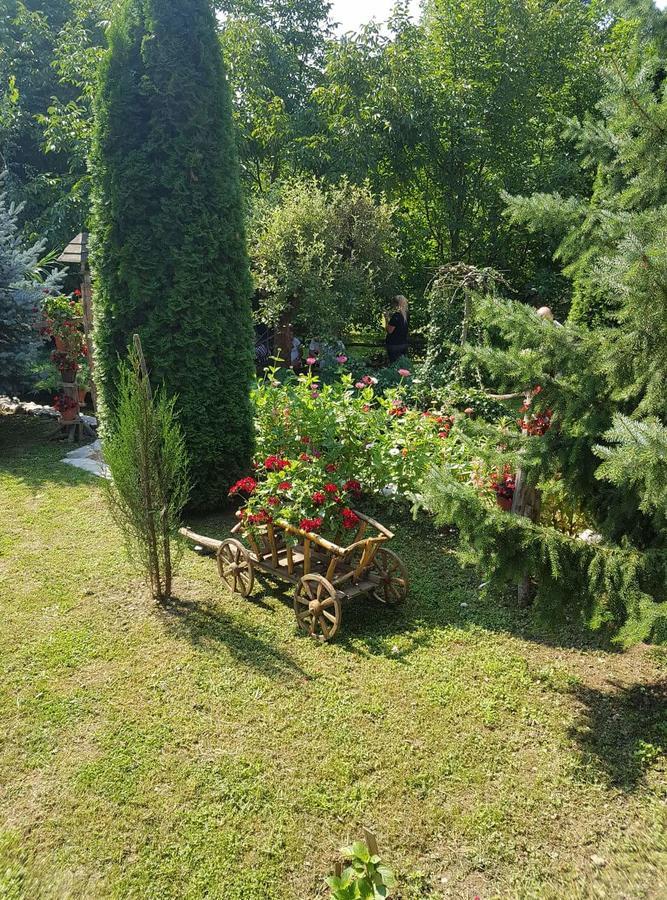 Skriveni Raj Apartamento Vrdnik Exterior foto
