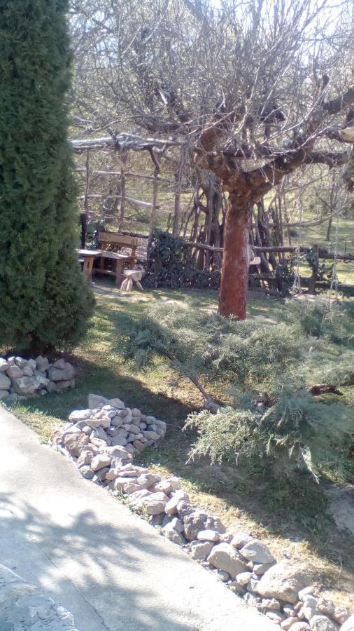 Skriveni Raj Apartamento Vrdnik Exterior foto