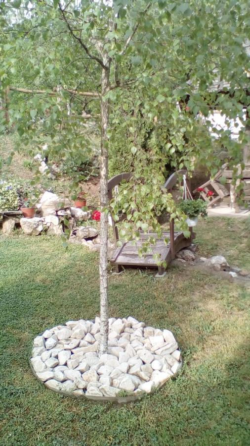 Skriveni Raj Apartamento Vrdnik Exterior foto