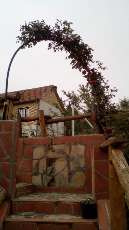 Skriveni Raj Apartamento Vrdnik Exterior foto